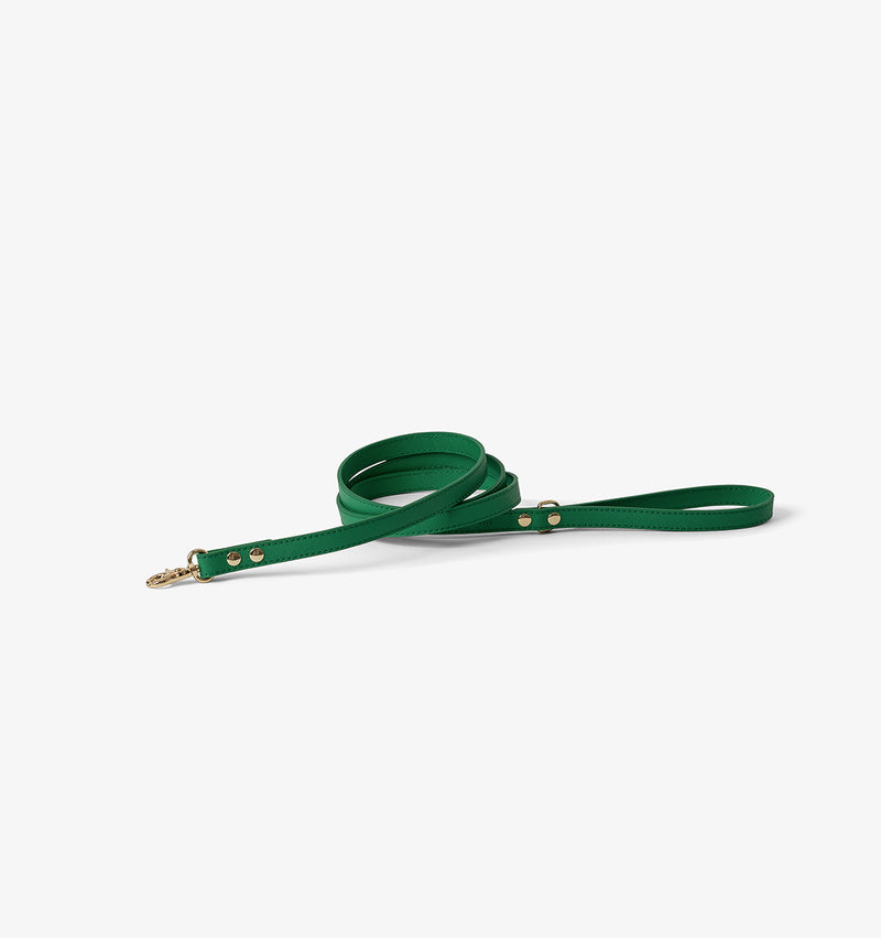 Green dog lead online
