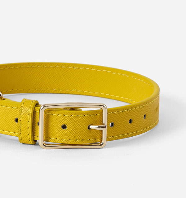 Bright Yellow Leather Dog Collar