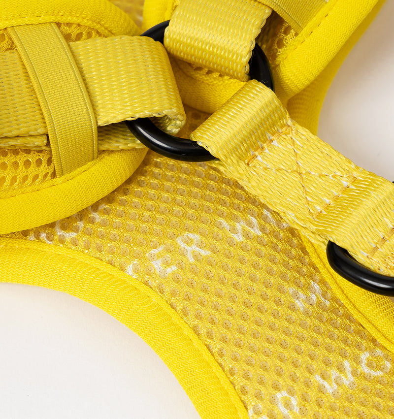 Bright Yellow Dog Harness