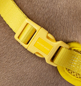 Bright Yellow Dog Harness