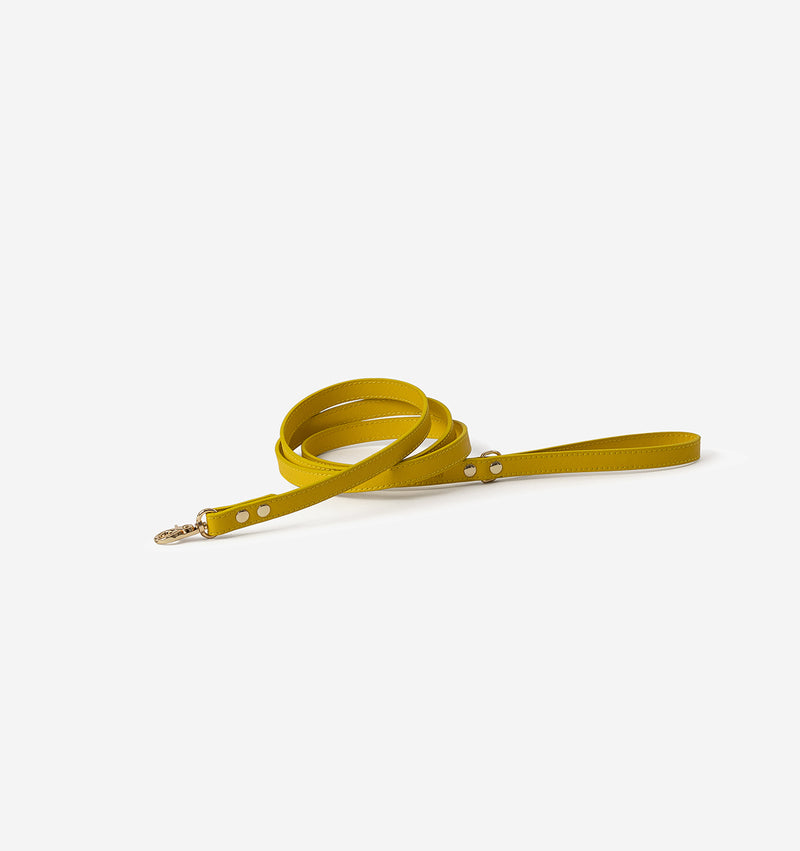 Bright Yellow Leather Skinny Dog Lead