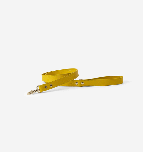 Bright Yellow Standard Leather Dog Lead