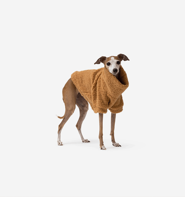 Camel Teddy Jumper