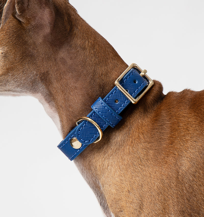 Cobalt Blue Leather Dog Collar