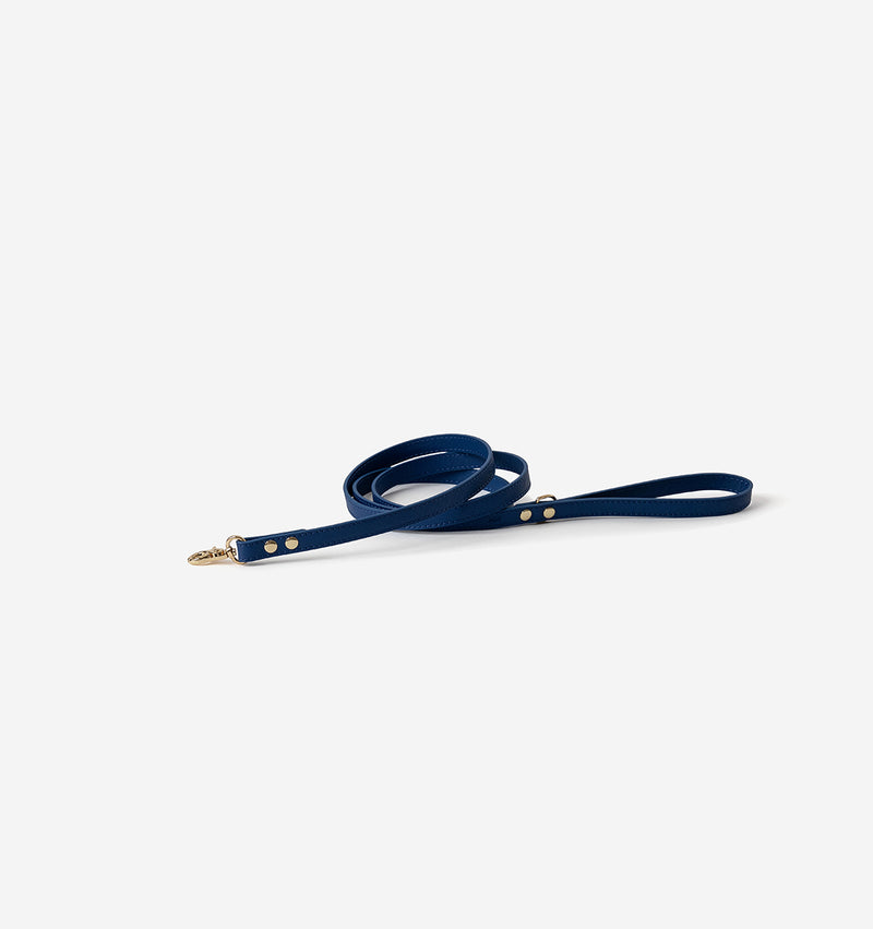 Cobalt Leather Skinny Dog Lead