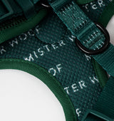 Deep Green Dog Harness