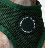 Deep Green Dog Harness