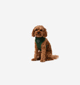 Deep Green Dog Harness