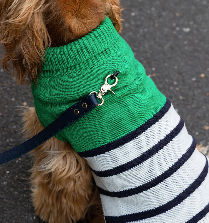 Royal Navy Leather Standard Dog Lead