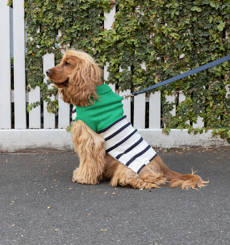 Royal Navy Leather Standard Dog Lead