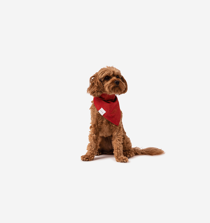 Goldie Bandana