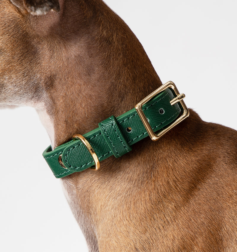 Hunter Green Leather Dog Collar