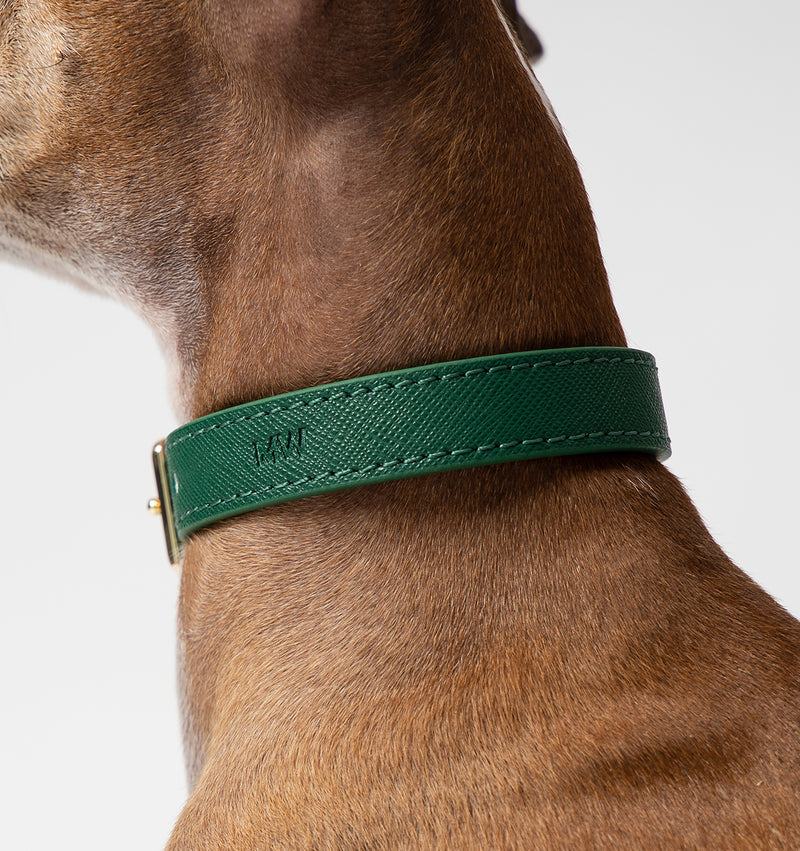 Hunter Green Leather Dog Collar