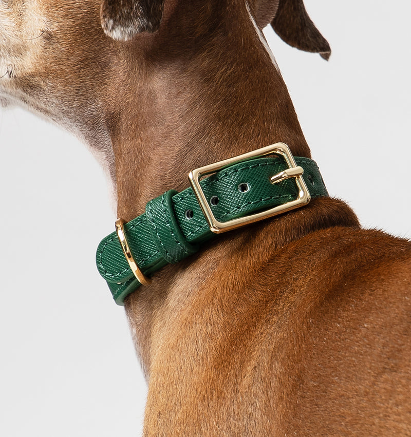 Hunter Green Leather Dog Collar