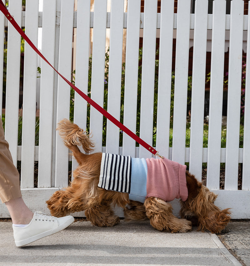 Red Leather Standard Dog Lead