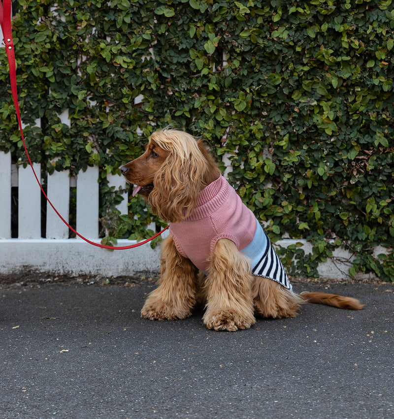 Red Leather Standard Dog Lead