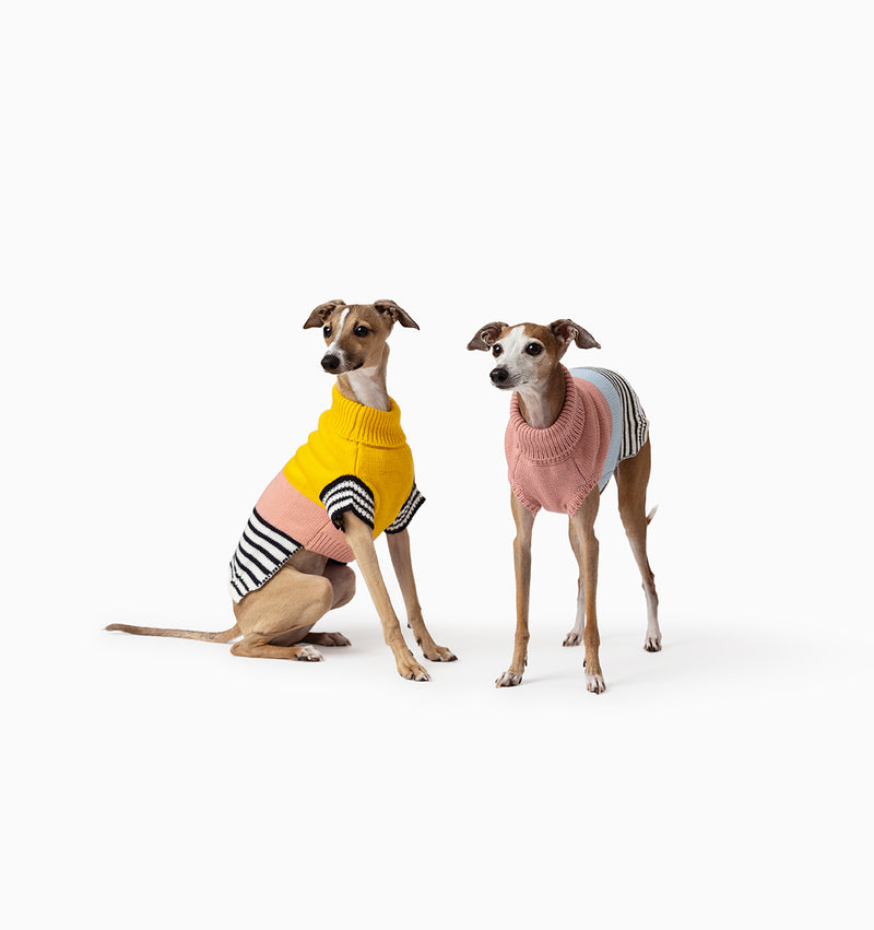 Harlow Knit