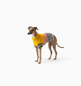 Harlow Knit