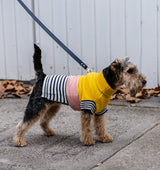 Harlow Knit