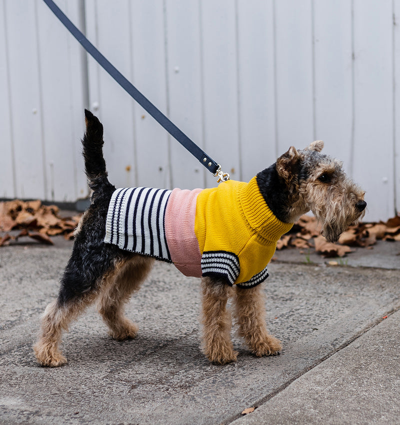 Harlow Knit