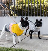 Harlow Knit