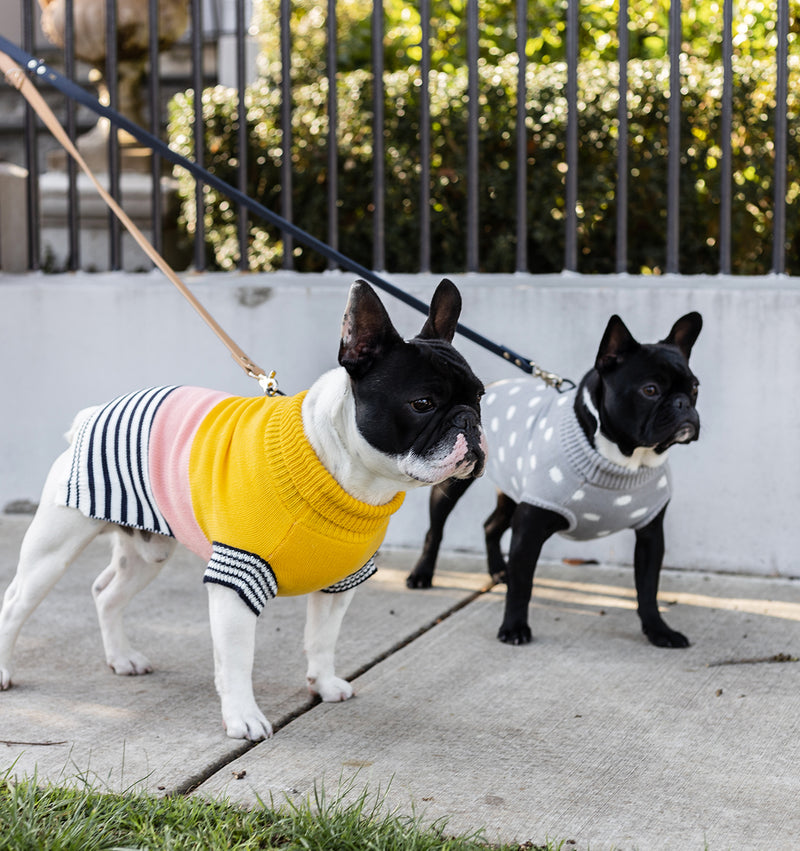 Harlow Knit