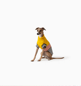 Harlow Knit