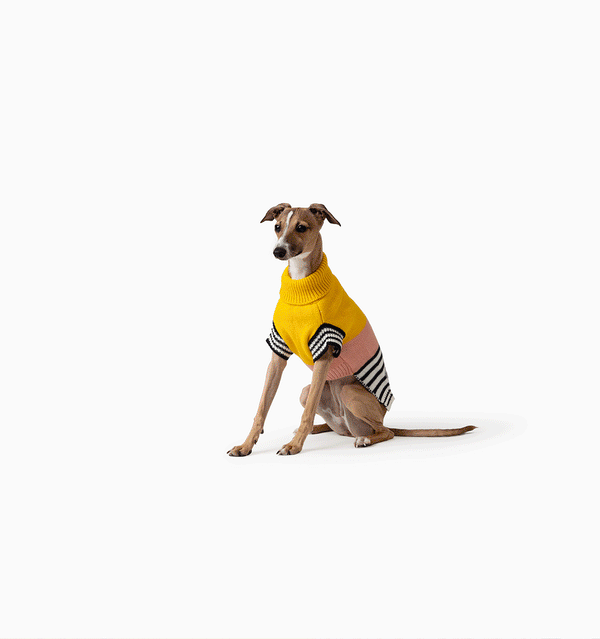 Harlow Knit