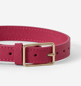 Hot Pink Leather Dog Collar