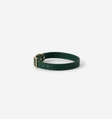 Hunter Green Leather Dog Collar