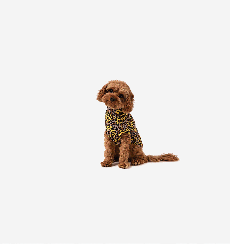 Laila Turtleneck