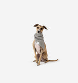 Lenni Bandana