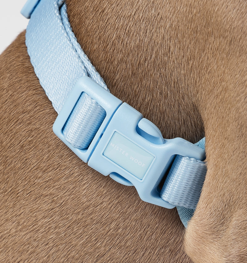 Light blue dog harness 2025