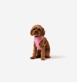 Light Pink Dog Harness