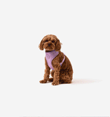 Pale Purple Dog Harness