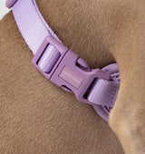 Pale Purple Dog Harness