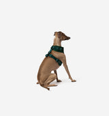Deep Green Dog Harness