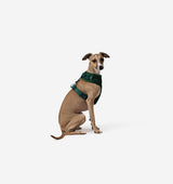 Deep Green Dog Harness