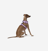 Pale Purple Dog Harness
