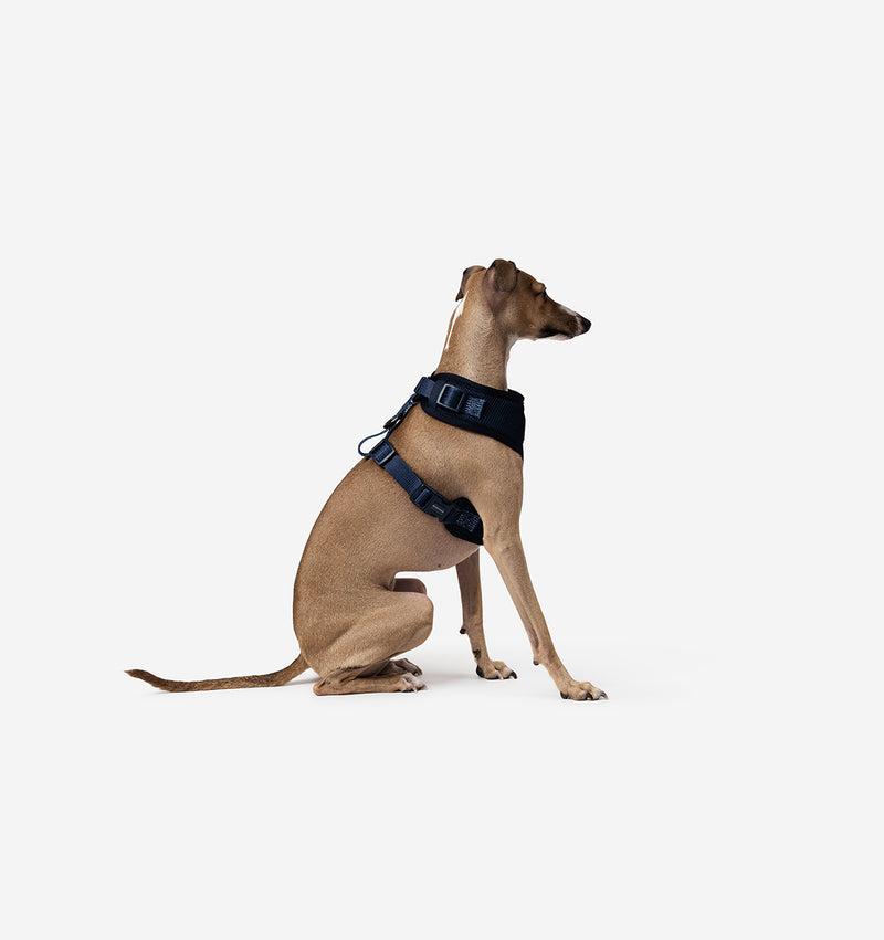 Navy Dog Harness