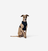 Navy Dog Harness