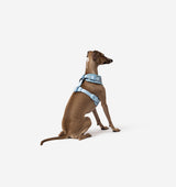 Pale Blue Dog Harness