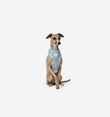 Pale Blue Dog Harness