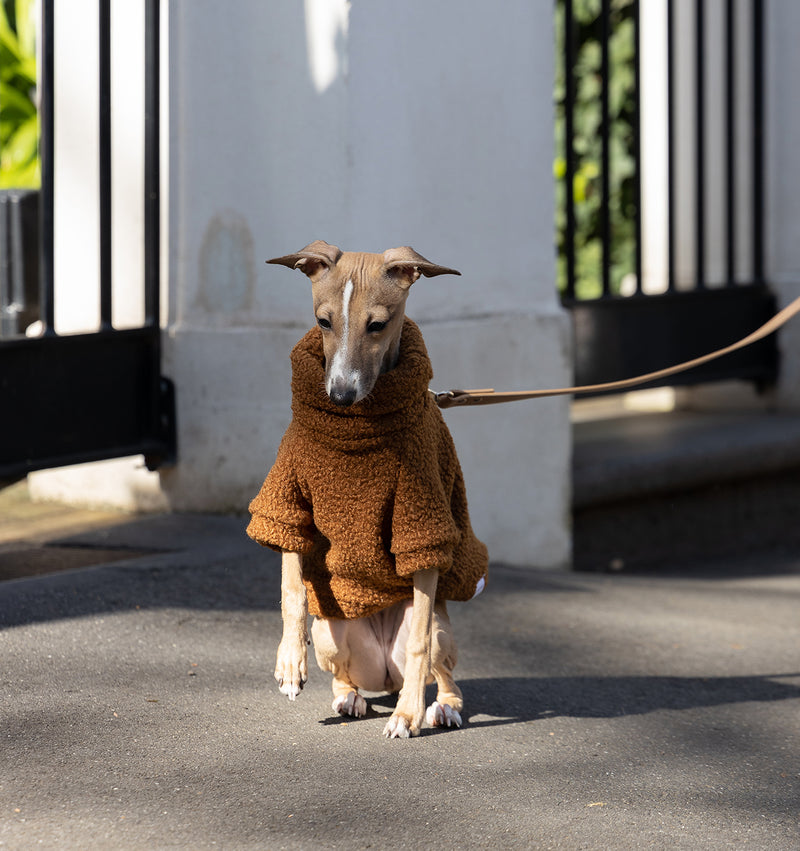 Tan Leather Standard Dog Lead