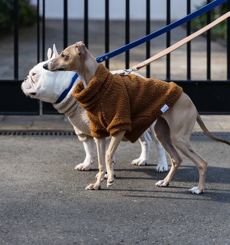 Tan Leather Standard Dog Lead