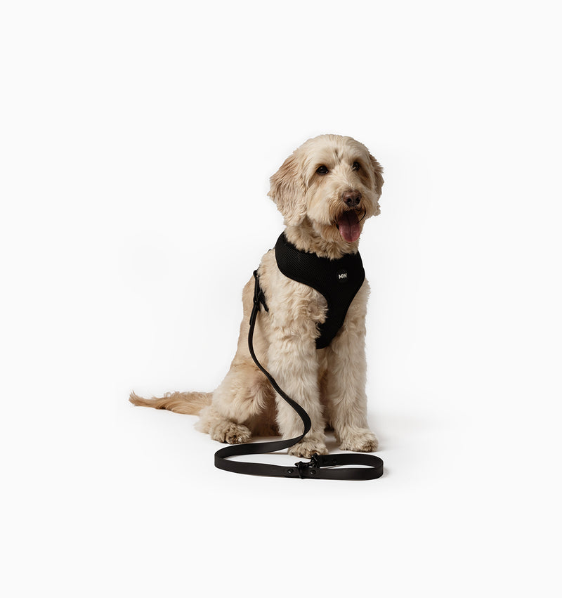 Multi Lead