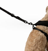 Multi Lead