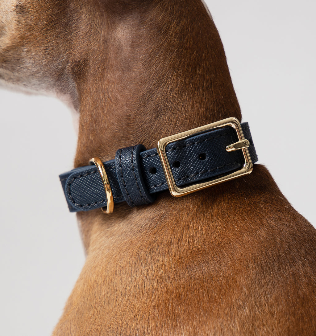 Navy blue leather dog collar cheap