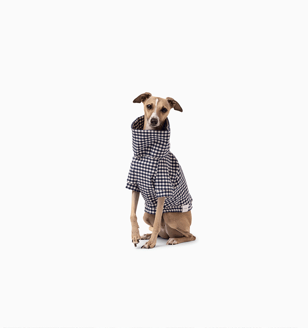 Noah Jumper