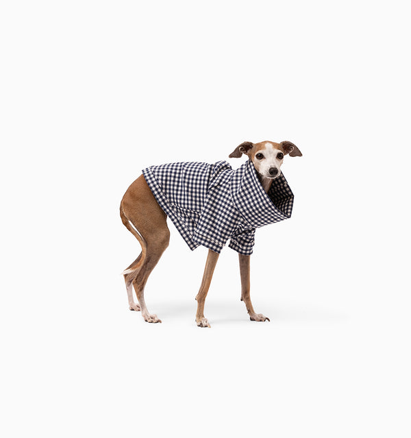 Noah Jumper